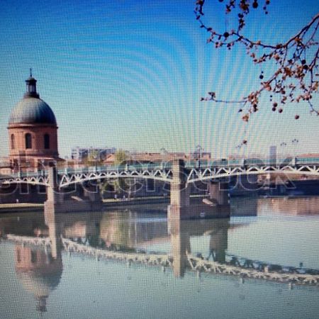 Le Saint Cyp - Toulouse - Appart Entier Cosy Et Au Calme, Proche Du Metro Buitenkant foto