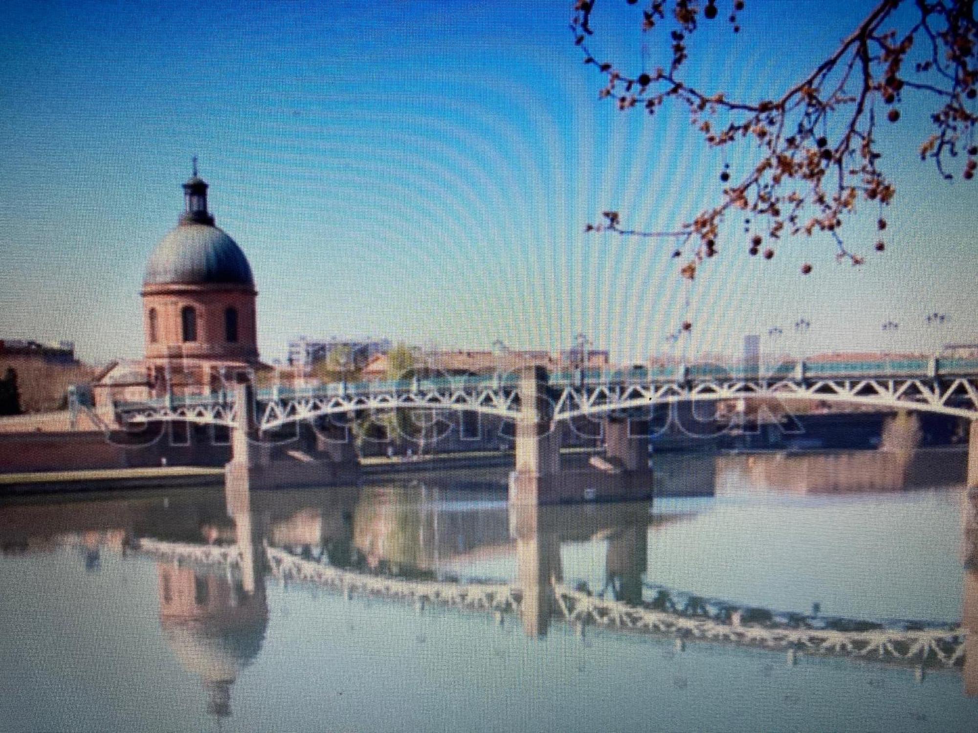 Le Saint Cyp - Toulouse - Appart Entier Cosy Et Au Calme, Proche Du Metro Buitenkant foto